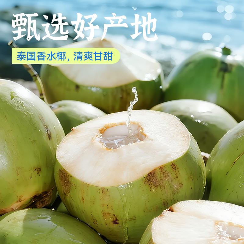 农垦惠饮 NFC100%纯椰子水 245ml（6瓶体验装）