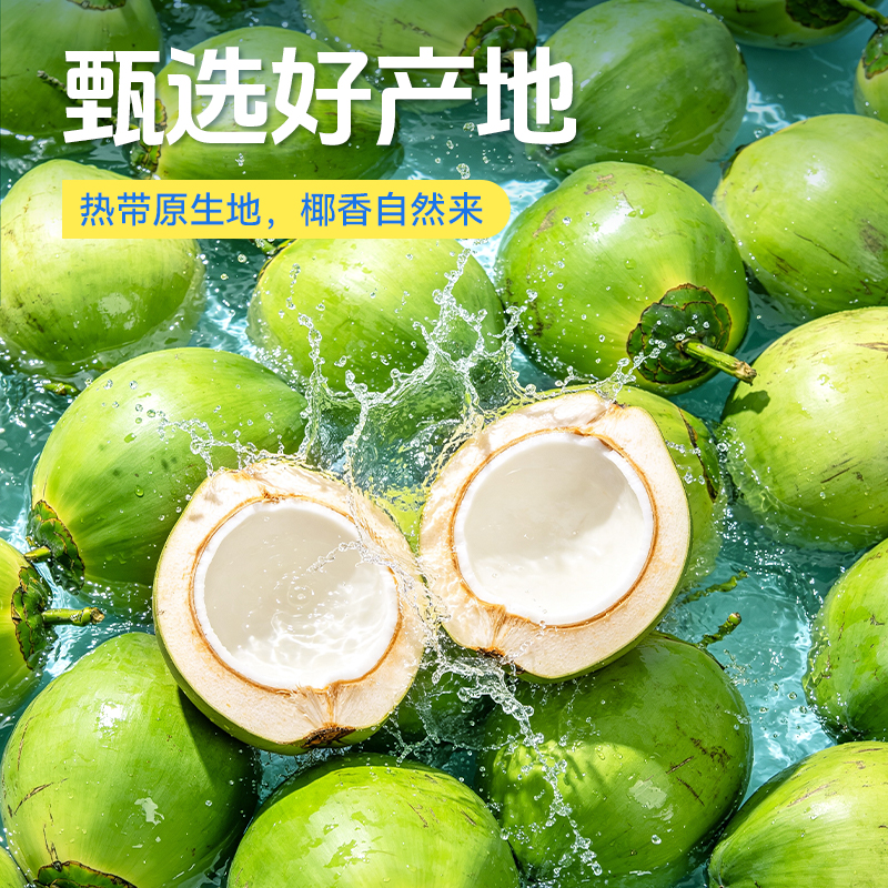 农垦惠饮NFC100%椰子水 350ml&times;12瓶